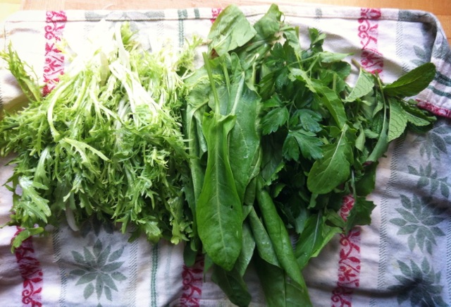 Frisée, sorrel, arugula, parsley and mint.